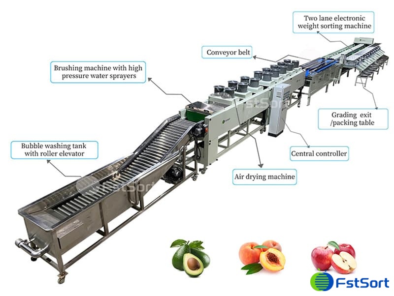 images/1710758423008fruit processing equipment.jpg